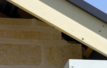 soffit repair Wyebanks